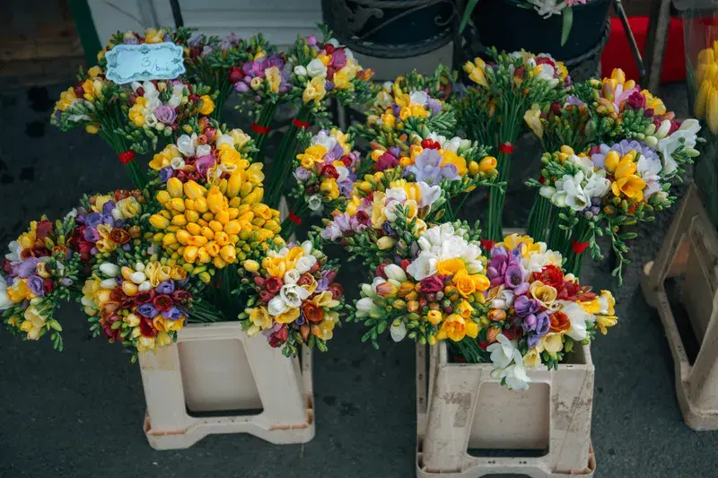 Cover Image for The Art of Flower Arrangement: Creating Beautiful Bouquets