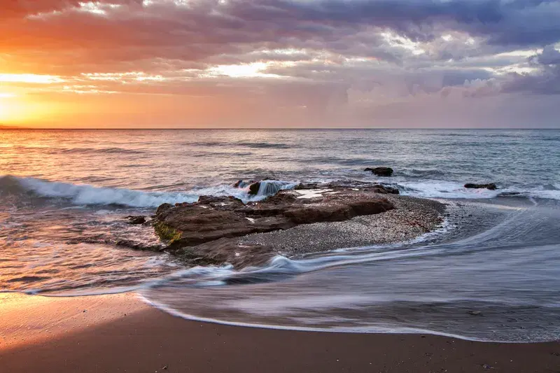 Cover Image for Incorporating Natural Elements from the Beach into Your Home Decor