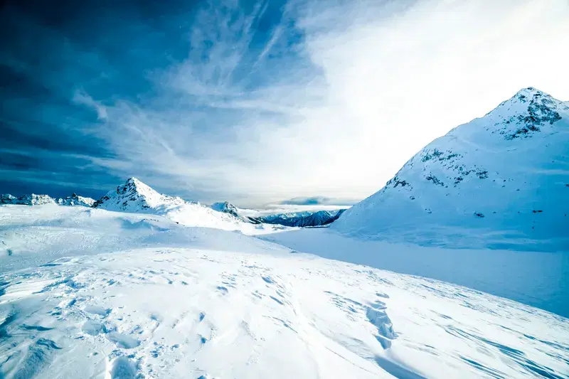 Cover Image for Finding Beauty in Winter: Nature-Inspired Decor from Frozen Landscapes