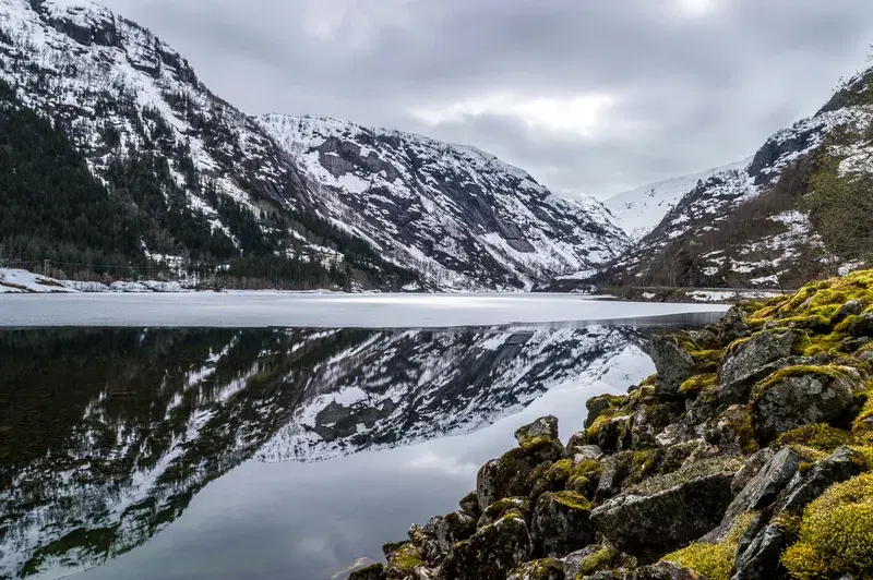 Cover Image for Bringing the Mountain Vibe Home: Nature-Inspired Decor Ideas