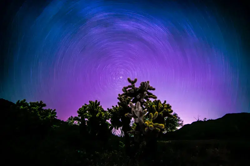 Cover Image for Capturing the Beauty of Nature: How Photography Enhances Our Connection with the Outdoors