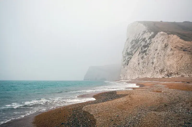 Cover Image for Incorporating Coastal Elements into Your Garden Decor