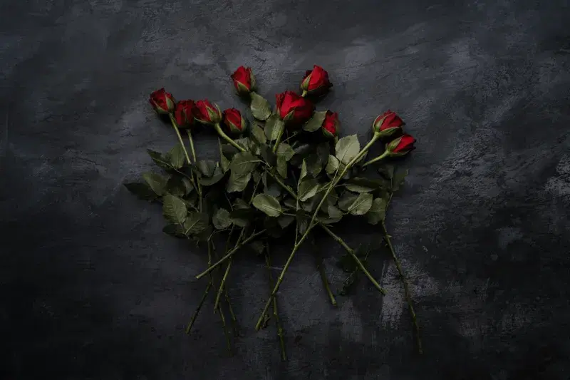 Cover Image for Creating a Romantic Garden: The Art of Using Roses