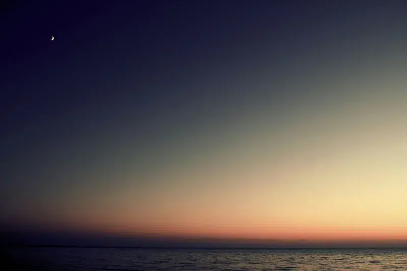 Cover Image for Creating Nature-Inspired Spaces with Ocean Views