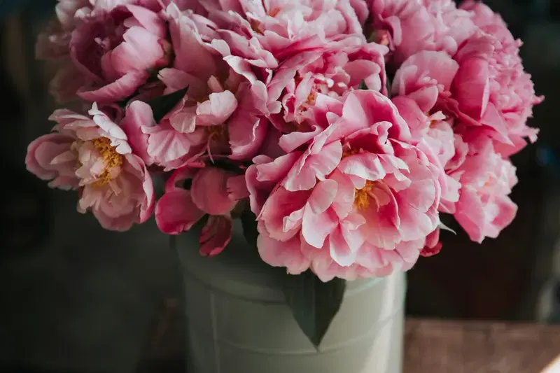 Cover Image for Creating Stunning Flower Arrangements: Tips and Tricks