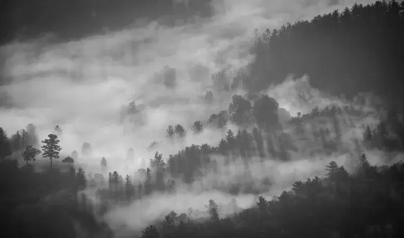 Cover Image for Creating a Tranquil Space: Incorporating Nature's Fog into Your Home Decor