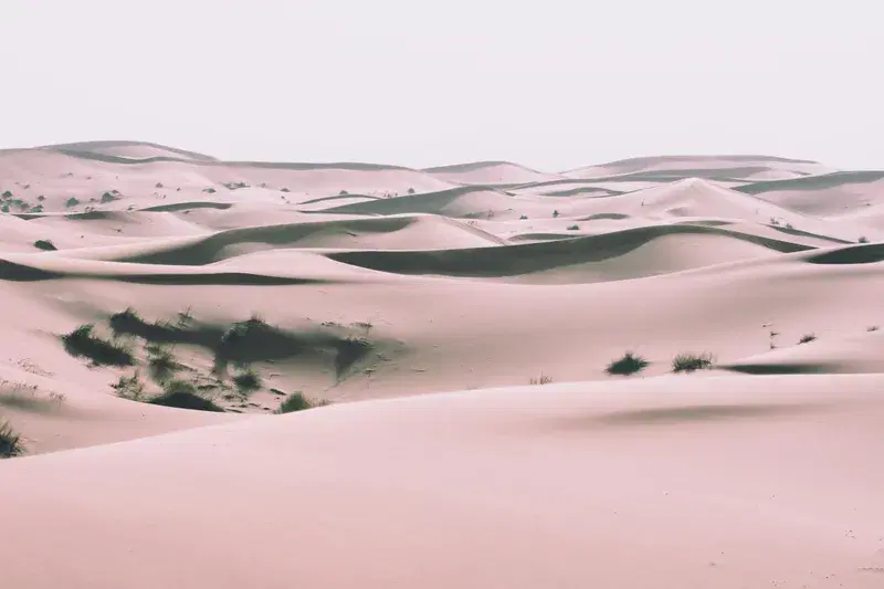 Cover Image for Incorporating Elements of Desert Landscapes into Home Decor