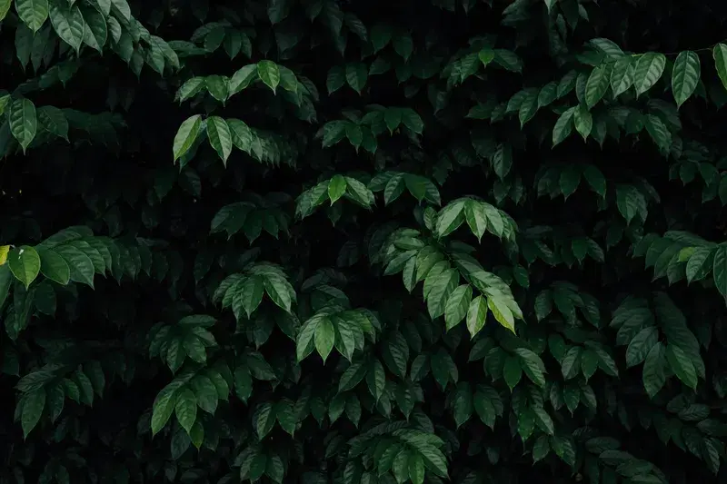 Cover Image for Embracing Nature: How to Incorporate Greenery into Your Home Decor