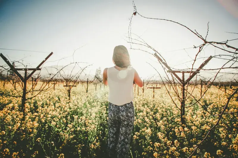 Cover Image for Embracing Nature: The Beauty of White Plants in Orchards