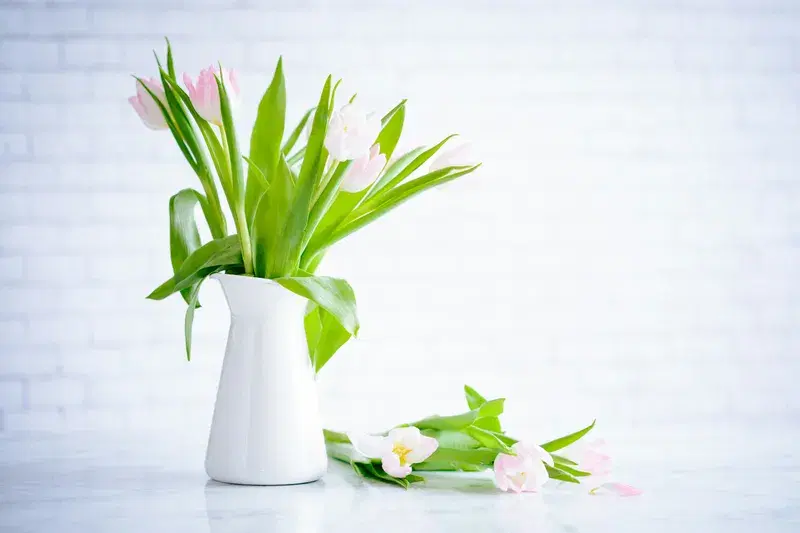 Cover Image for Embracing Spring: How to Create Beautiful Flower Arrangements