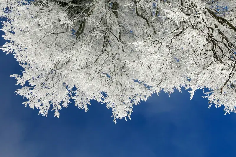 Cover Image for Embracing Winter: How to Incorporate Snowy Landscapes into Your Home Decor