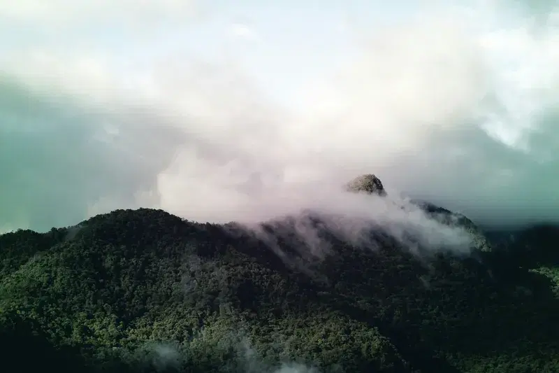 Cover Image for Exploring Nature: The Beauty of Cloudy Landscapes