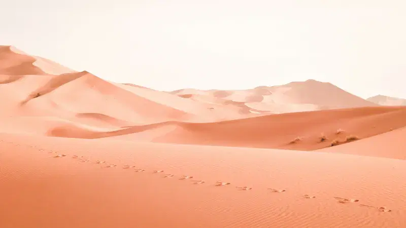 Cover Image for Exploring the Beauty of Desert Landscapes