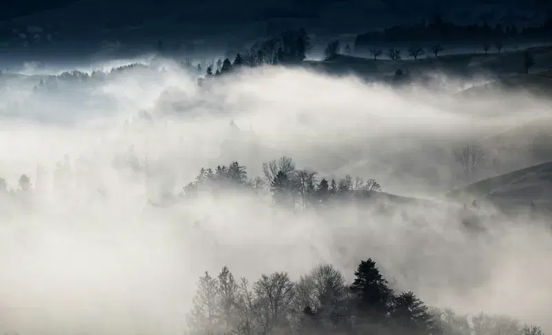 Cover Image for Incorporating Natural Elements: How Foggy Nights Inspire Home Decor