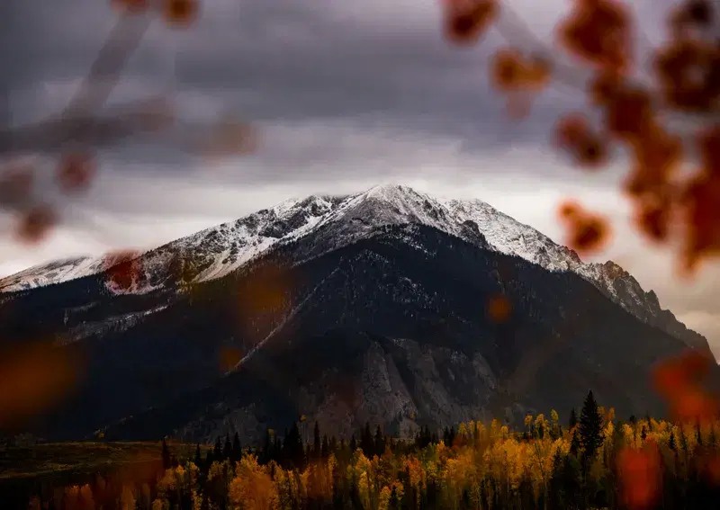 Cover Image for Incorporating Autumn Forest Elements into Your Home Decor