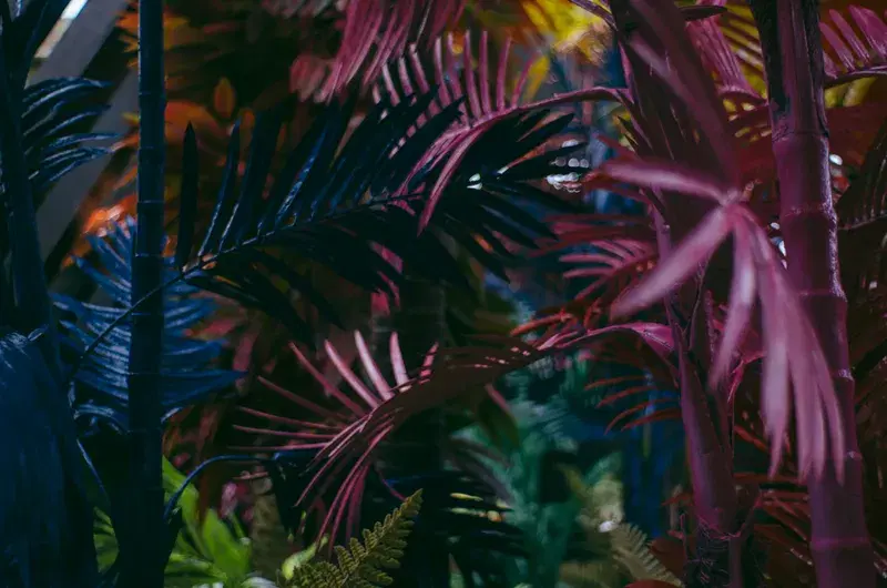 Cover Image for Incorporating Digital Flora Art into Your Home Decor