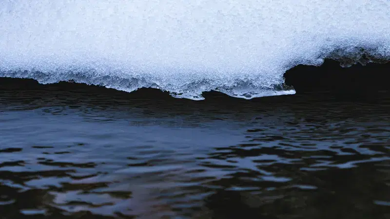 Cover Image for Incorporating Elements of Water in Your Nature-Inspired Decor