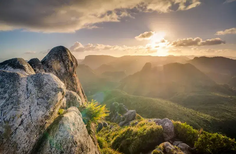 Cover Image for Incorporating Mountain-Inspired Elements in Your Garden