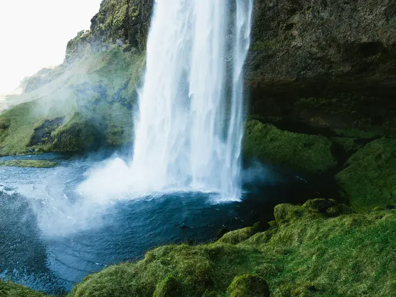 Cover Image for Incorporating Natural Elements: The Beauty of Moss and Waterfalls in Home Decor