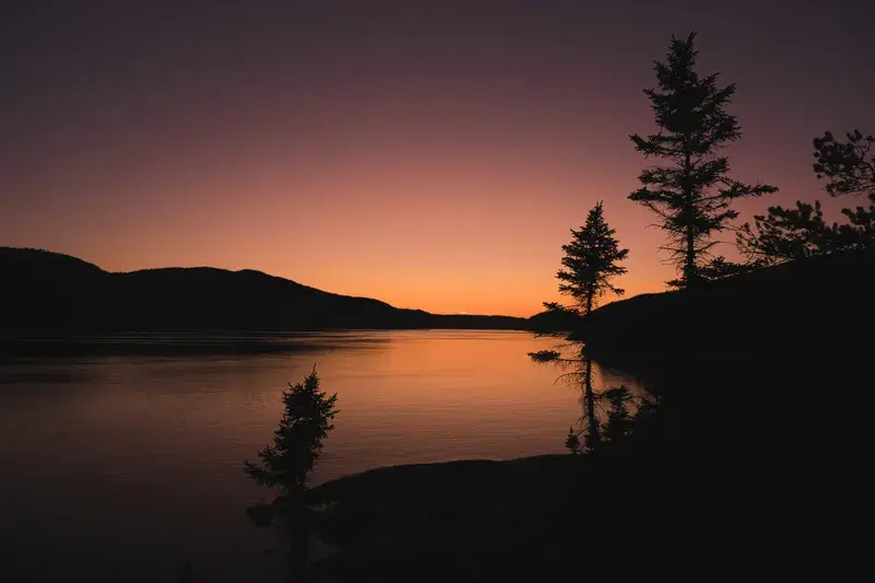 Cover Image for Incorporating Natural Elements: How to Bring the Outdoors In