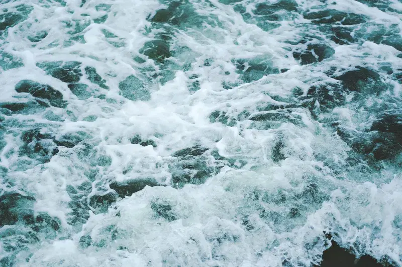 Cover Image for Incorporating Natural Elements: From Sea to Garden