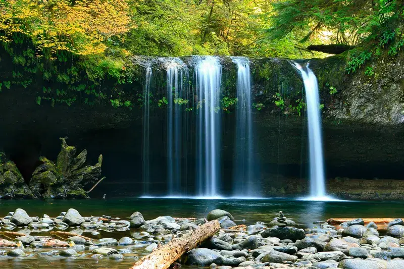 Cover Image for Incorporating Natural Elements: Inspiration from Waterfalls