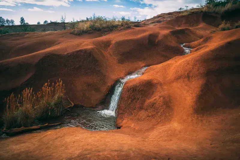 Cover Image for Incorporating Natural Landscapes into Your Home Decor
