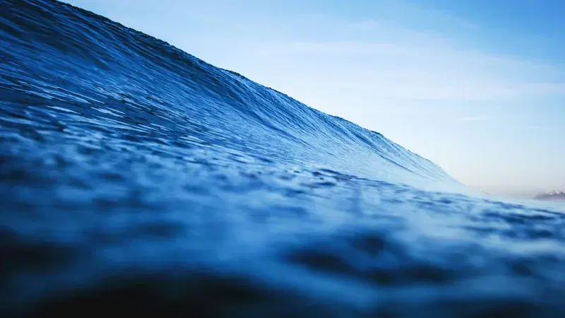 Cover Image for Incorporating Nature's Beauty: Decor Inspired by Ocean Waves