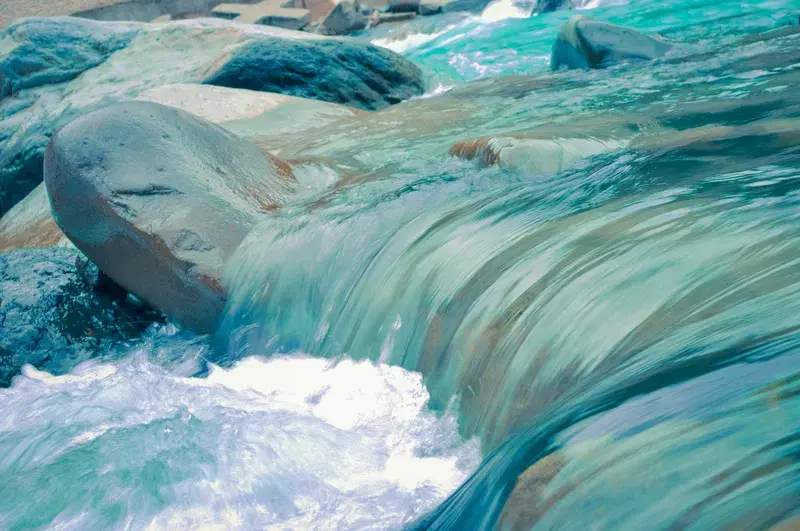 Cover Image for Incorporating Water Features in Your Garden for Serenity
