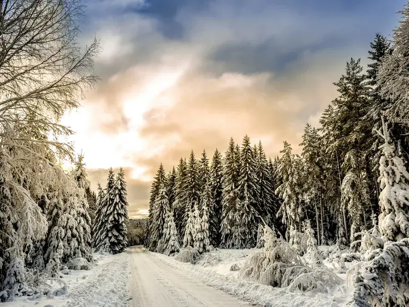 Cover Image for Incorporating Winter Landscapes into Your Home Decor