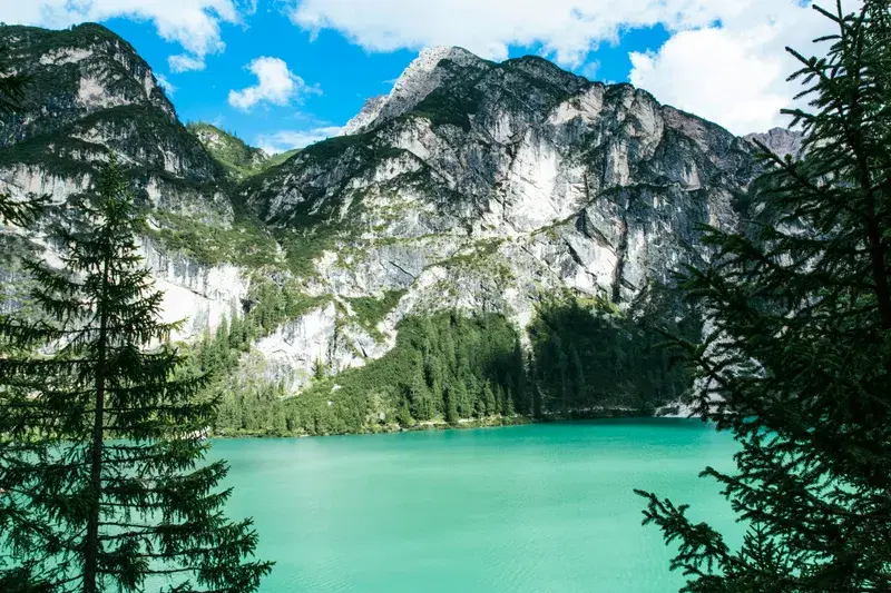 Cover Image for Inspiration from the Flora Surrounding Turquoise Mountain Lakes