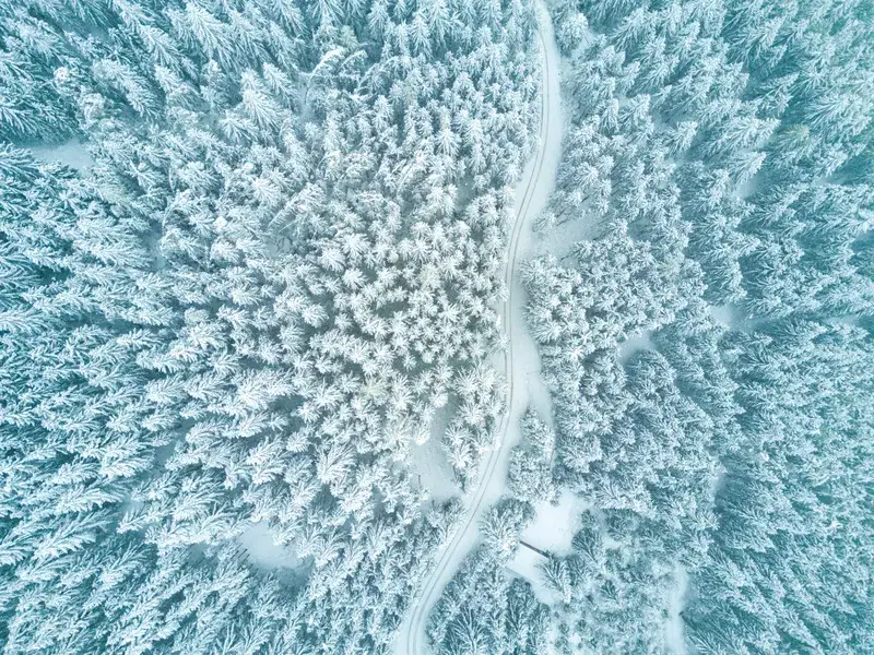 Cover Image for Inspiring Nature-Inspired Decor: The Art of Aerial Photography