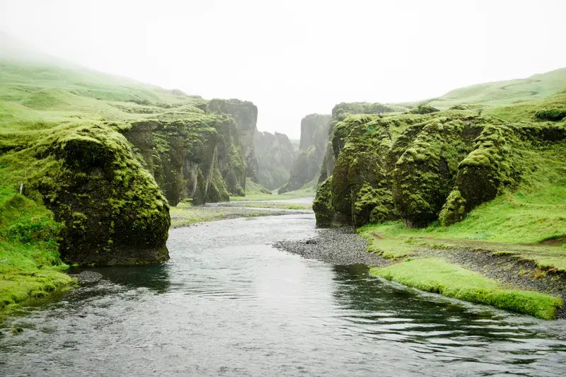 Cover Image for Incorporating Nature-Inspired Decor with Green Canyon Vibes