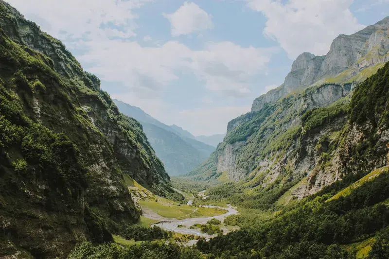 Cover Image for Creating a Nature-Inspired Garden: Incorporating Mountain Aesthetics