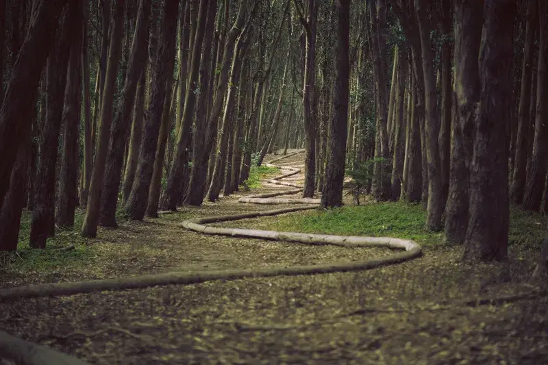 Cover Image for Creating Nature-Inspired Spaces: Incorporating Pathways into Your Garden Design