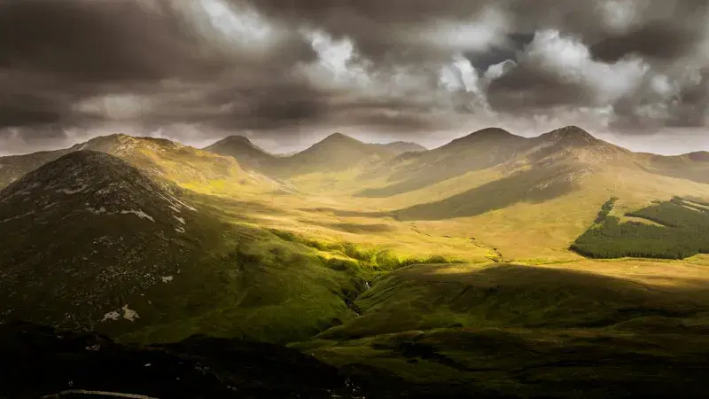 Cover Image for Incorporating Natural Elements into Your Home Decor