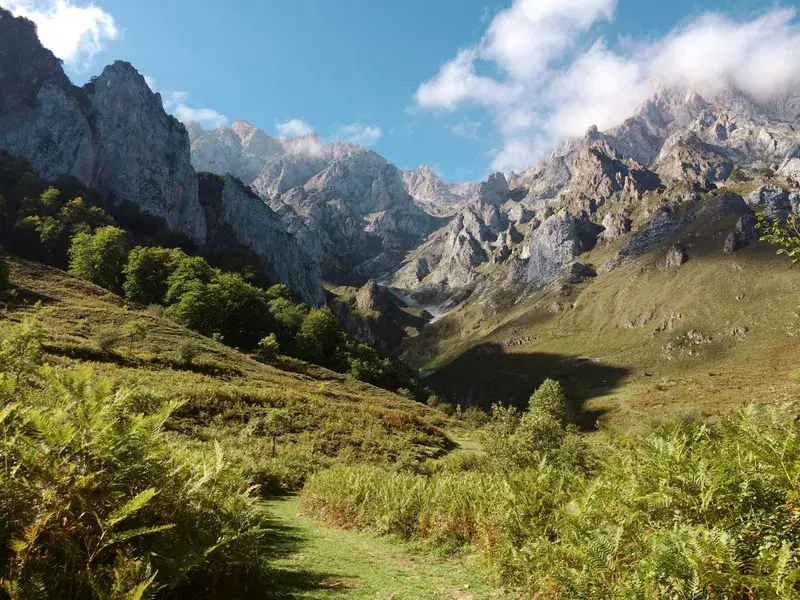 Cover Image for Embracing Nature: How to Create a Green Space Inspired by Mountains