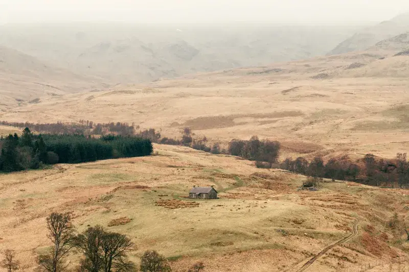 Cover Image for Creating a Nature-Inspired Retreat: Designing Your Hill Cabin