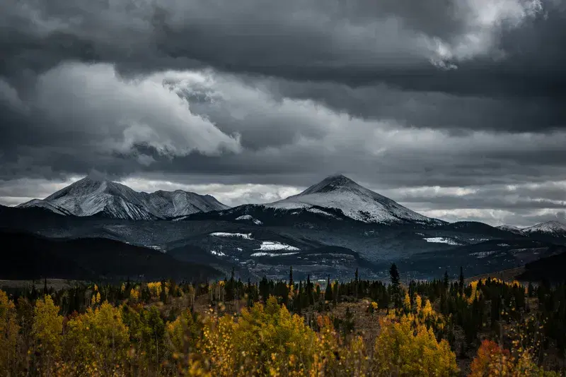 Cover Image for Nature's Palette: How Seasonal Changes Inspire Home Decor