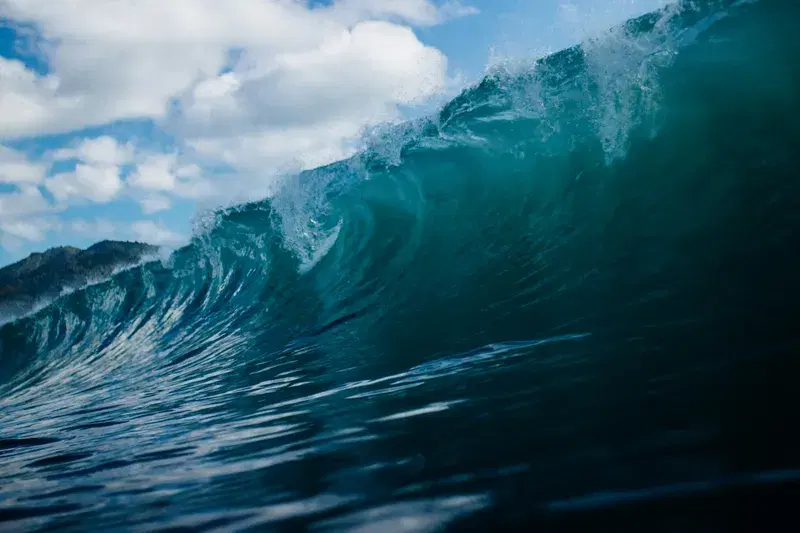Cover Image for Incorporating Ocean Aesthetics into Nature-Inspired Decor