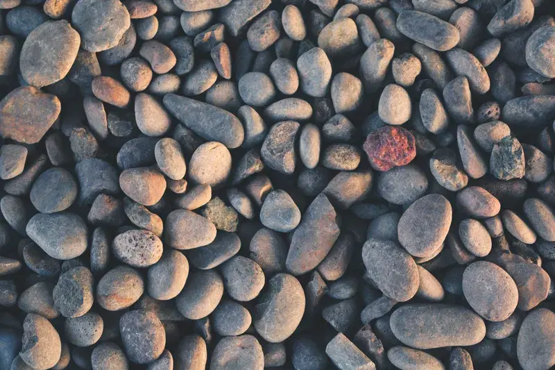 Cover Image for Incorporating Round Pebbles in Your Garden Design