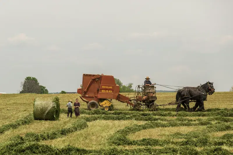 Cover Image for Incorporating Rural Aesthetics into Your Home Decor