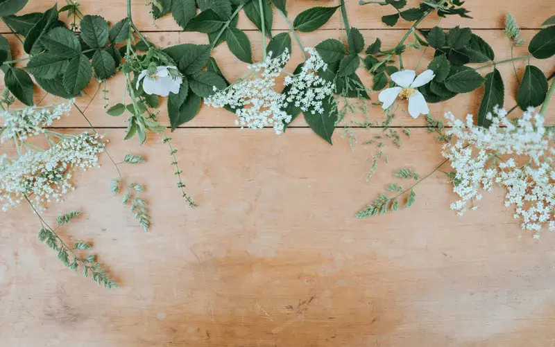 Cover Image for Creating a Serene Floral Desktop: Tips for Nature-Inspired Decor