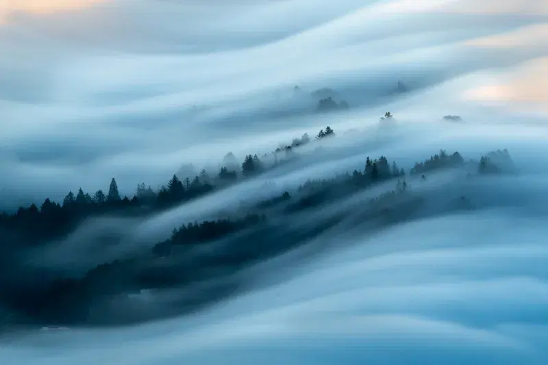 Cover Image for Embracing Winter: How Foggy Landscapes Inspire Nature Decor