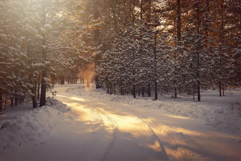 Cover Image for Winter Landscapes: Inspiring Nature-Inspired Decor Ideas