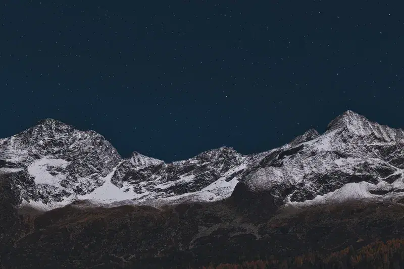 Cover Image for Incorporating Natural Elements: How Ice-Capped Mountains Inspire Garden Design