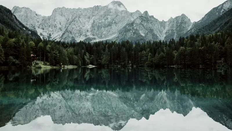 Cover Image for Incorporating Natural Elements: How Lake Reflections Inspire Home Decor