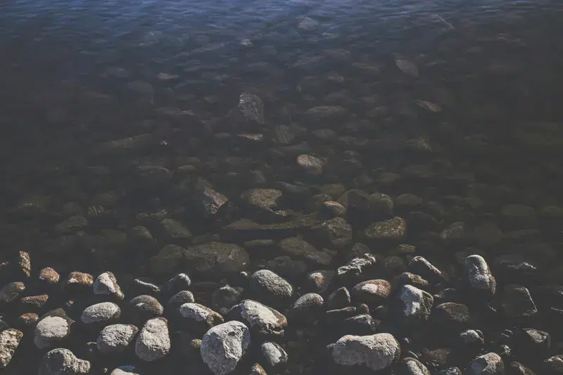 Cover Image for Incorporating Natural Elements: Using River Pebbles in Your Outdoor Spaces