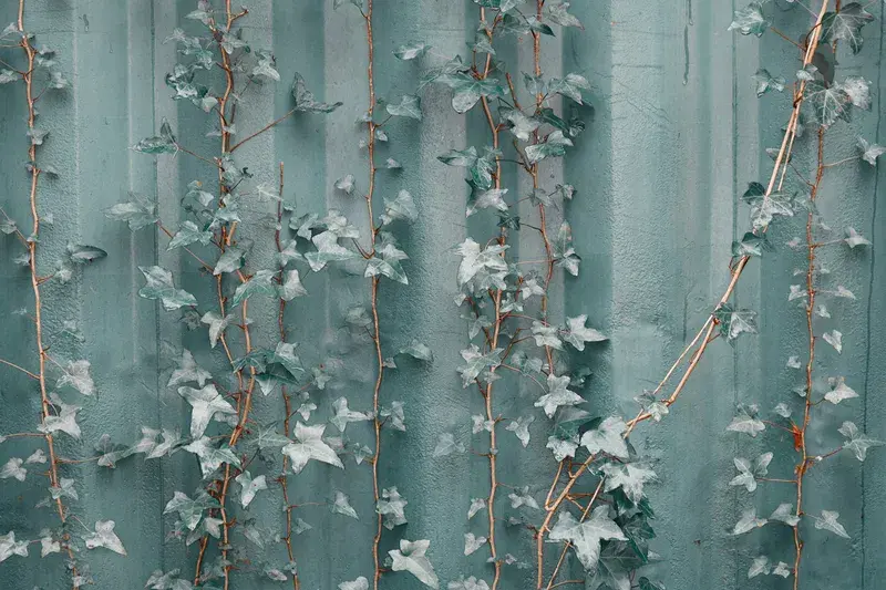 Cover Image for Incorporating Nature's Beauty: How to Use Natural Elements in Home Decor