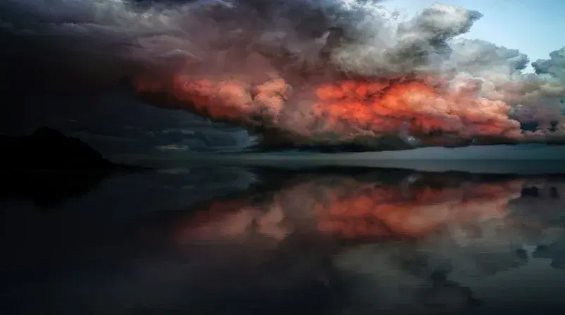 Cover Image for The Beauty of Nature: How Storms Influence Garden Aesthetics